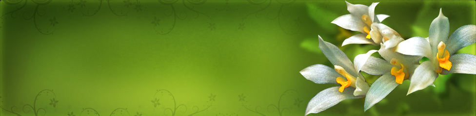 header header